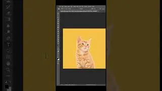 Photoshop trick | Photoshop Tutorial #graphicdesign #photoshoptutorial #design #photoshop #trick