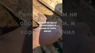 21 июня 2024 г.