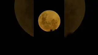 Moon #shorts