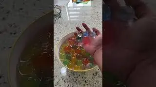 los mas gigantes del planeta