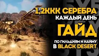 1.2KK SILVER IN 20 MINUTES IN BDO EVERY DAY! | All about guilds and recruiting in Black Desert
