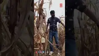 யாராவது பொண்ண தனியா வயக்காட்டுக்கு கூப்பிட்டு வருவாங்களா 