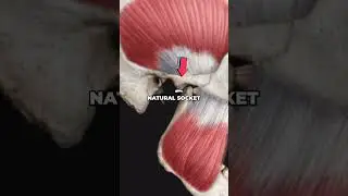 Achieve Restful Sleep With Optimal Jaw Alignment