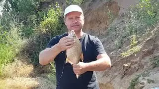 Лещь 1кг на поплавочку