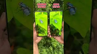 Realme 12 Plus vs Oppo F27 5g Camera Test #realme #oppo #shorts