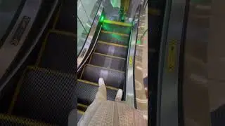 Bilo Rani Jhak maar ke |Enjoy At dubai metro train Foryou #ytshorts #viral
