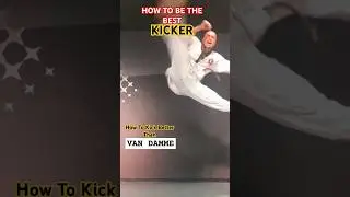 VAN DAMME style ROUNDHOUSE KICKS #martialarts