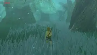 BotW Wii U   Lost Woods Location and Master Sword can Kill You