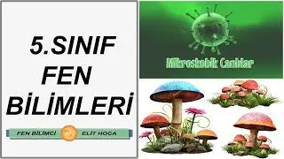 5.SINIF FEN BİLİMLERİ - CANLILARI TANIYALIM  