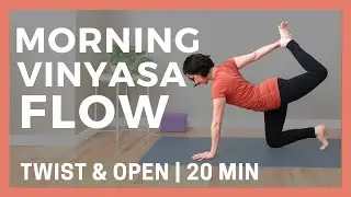 Morning Vinyasa Yoga Flow | Twist & Open | 20 Minute Class