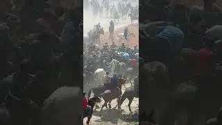 бузкаши эпадром абдураҳмон бо аспи бурон 22 03 23 🐫🇹🇯🇺🇿🇰🇬🇰🇿👍