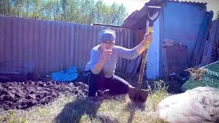Такого не было 25 лет! Заморозки уничтожили весь урожай! Посадила огурцы и капусту.много чего