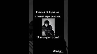 песня цоя не спета при жизни