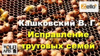 #Кашковский