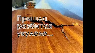 ПРИШЛА РАЗБИТАЯ УКУЛЕЛЕ ZEBRA С ALIEXPRESS