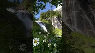 #naturevideo   #shorts #shortsvideo  #statusvideo #statusvideo #trending #naturevideo #relaxingmusic