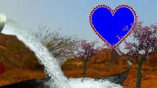 Beautiful Wedding Animation Background Video Cool Green Screen Effects 2019