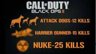 Black Ops 2 Killstreak Wishlist