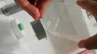 Artemia çıkartma -3-