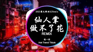 楊一棋 - 仙人掌做不了花 (DJ抖音 Remix)【抖音热门歌曲】『仙人掌拔光刺 也做不了花 我怎麼取悅你 也替不了她 。』抖音 Hot Tiktok Douyin | Baozhang Remix