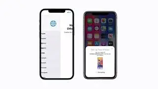 How to Transfer Data to New iPhone
