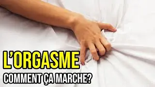 THE 4 STAGES OF AN ORGASM ❤