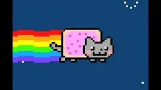 NUAN CAT #2