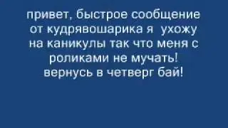 шарарам каникулы