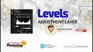PHOTOSHOP BASICS - Part 14 - (Photoshop Levels Adjustment Layer)