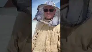 Первый облет 2024 году