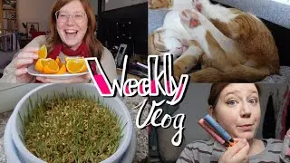 Ganz viel Katzi, GRWM, Erkältung und die Frage, ob AI unsere Jobs klaut? // Weekly #Vlog #1/2023