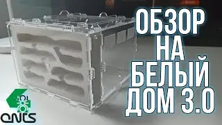 Обзор на формикарий БЕЛЫЙ ДОМ 3.0