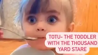 TOTUS STORY: the beginning-How I discovered Totu and Sevgi evi
