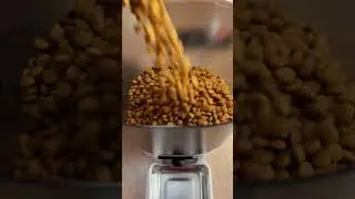 Кот один дома, сытый и под наблюдением!) #чтоузналаалла #кот