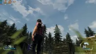 UE4 Character Interaction