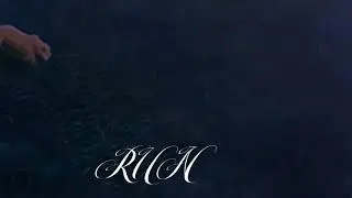 SHURA _ RUN (Official Lyric Video)