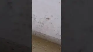 Киа Рио стук в подвеске!#shorts Knocking in the suspension