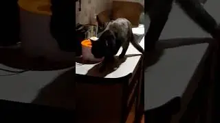 фонтан