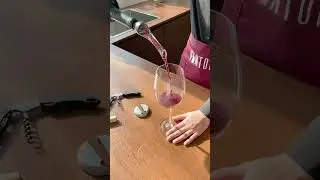 Decanting made easy: Vintorio Wine Aerator Pourer transforms wine in seconds