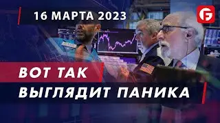 Market Watch. Вот так выглядит паника