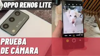 OPPO Reno6 Lite, características y funciones TOP