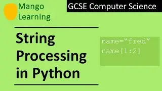 String Processing in Python