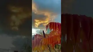 Киев. Позняки. Осень