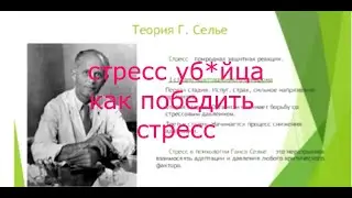 Ганс Бруно Селье Стресс сама Жизнь? Стресс уб*йца как победить стресс.