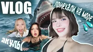выживание на море в ИТАЛИИ🦈💦 (унесло прямо в пасть акуле)🐳🌊