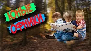 3 ТИПА 