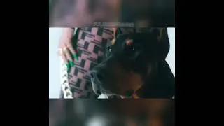 BICHOTA - KAROL G ( LETRA )
