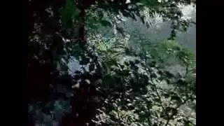 L'ispettore Derrick - Mi ha sempre chiamato zio Hoffmann 9/1974