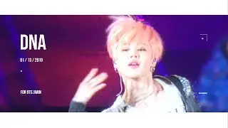 190113 LOVEYOURSELF TOUR in Nagoya DNA BTS JIMIN FOCUS｜LYT in 나고야 방탄소년단 지민 디엔에이 직캠 (4K)