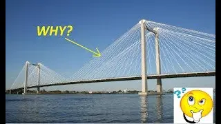Why does the suspension bridge have cables?